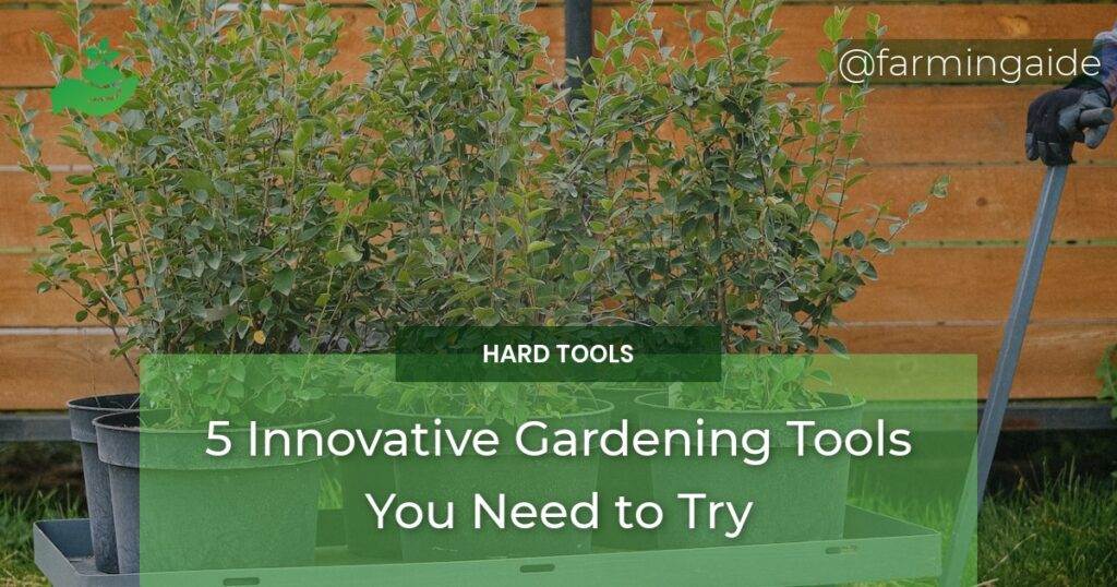 5 Innovative Gardening Tools You Need to Try