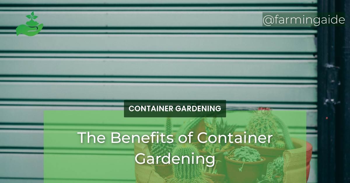 The Benefits of Container Gardening