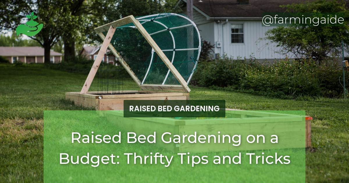 Raised Bed Gardening on a Budget: Thrifty Tips and Tricks