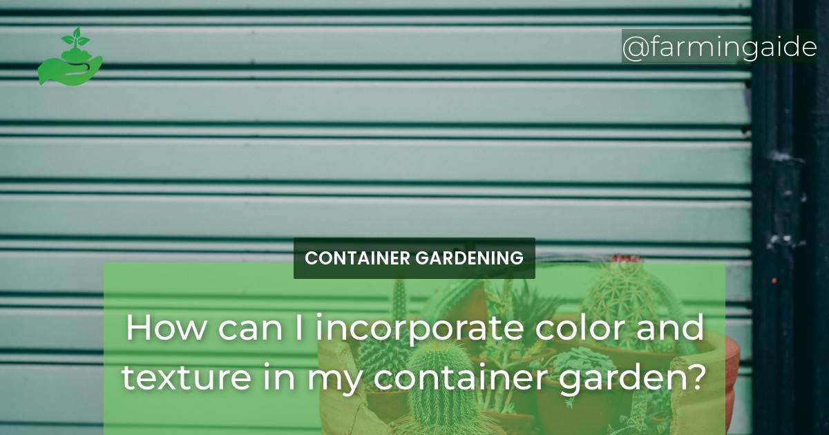 How can I incorporate color and texture in my container garden?