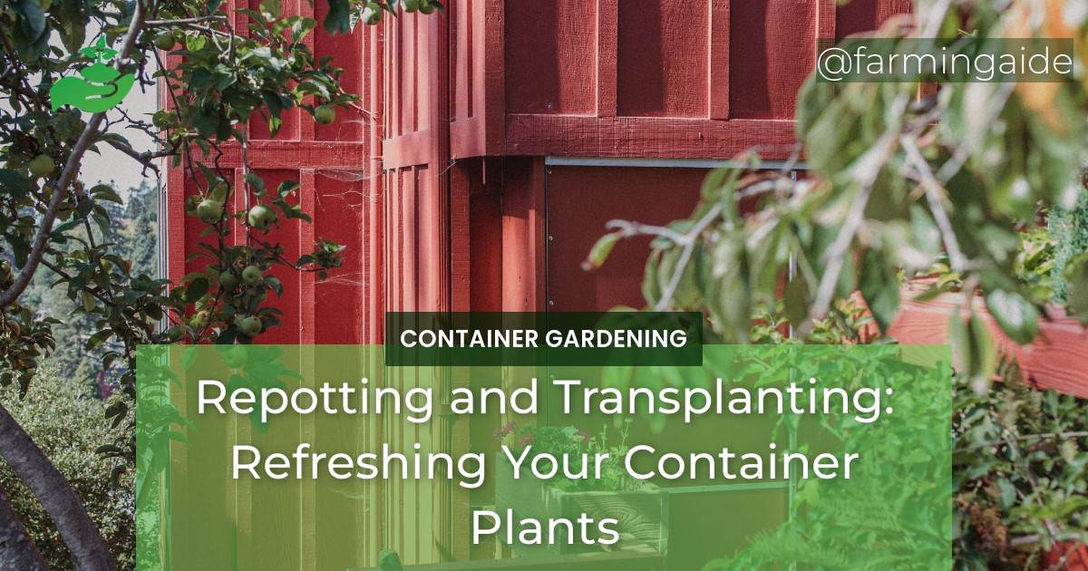 Repotting and Transplanting: Refreshing Your Container Plants