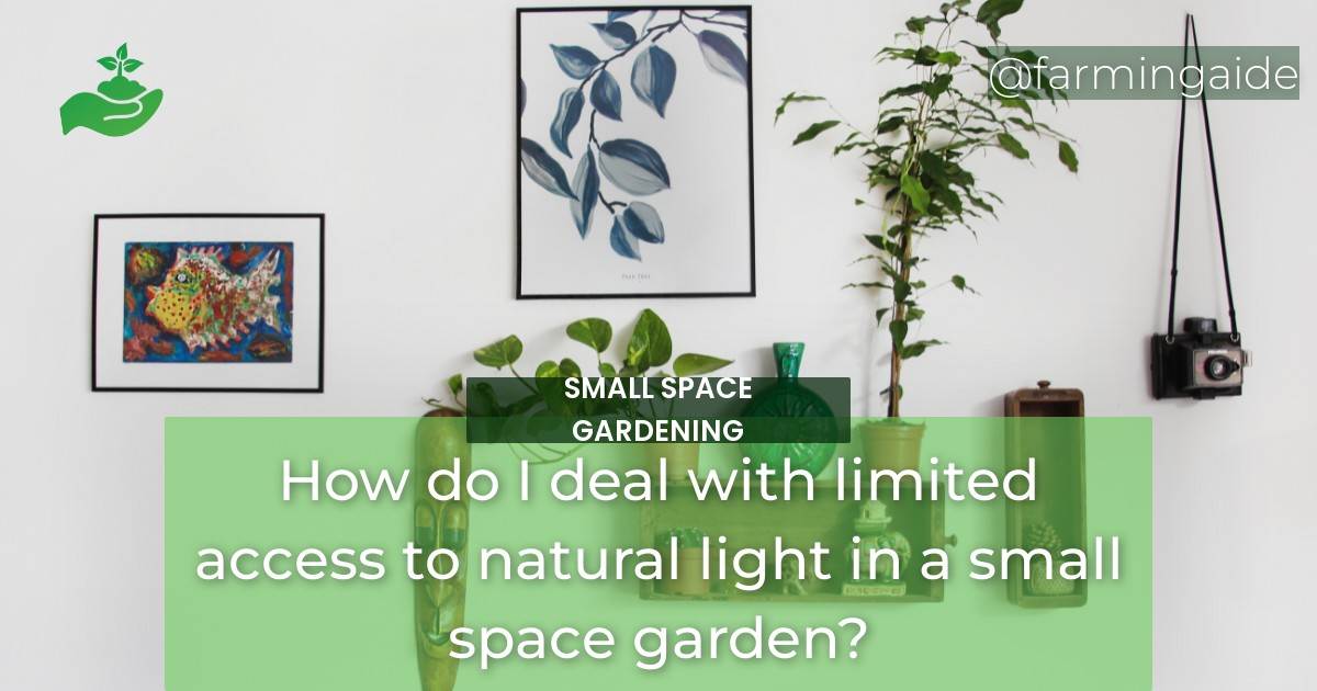 How do I deal with limited access to natural light in a small space garden?