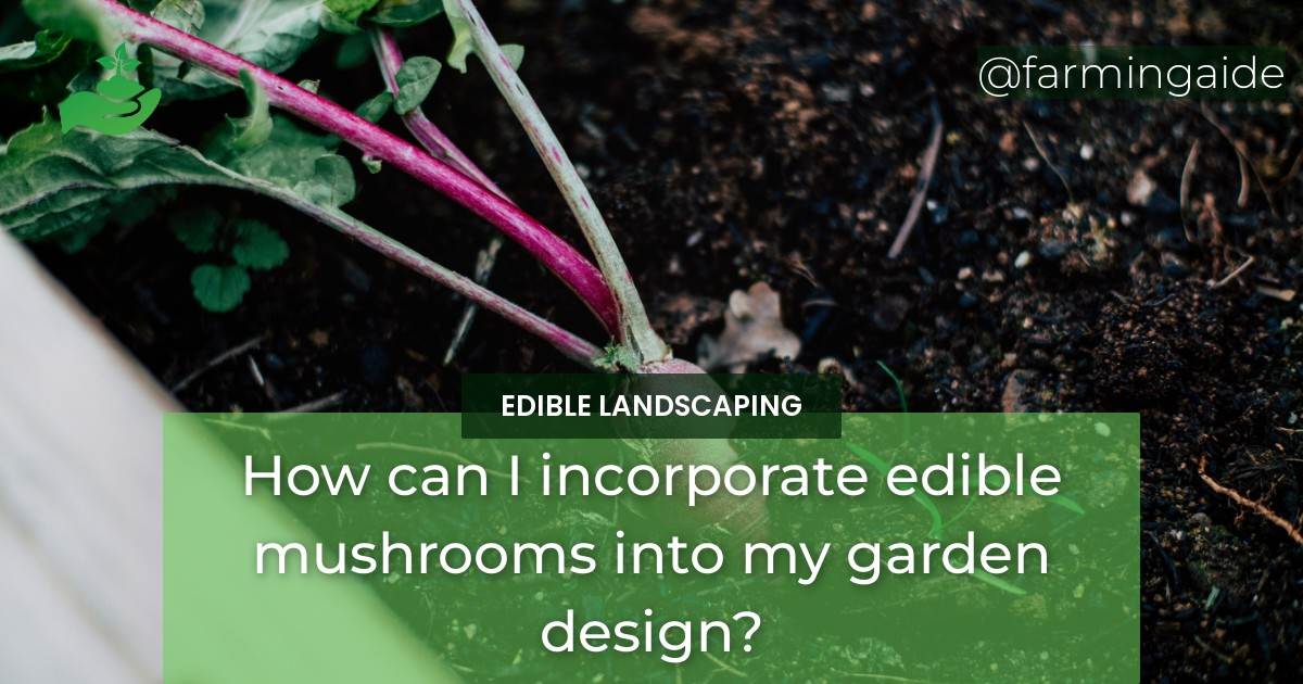 How can I incorporate edible mushrooms into my garden design?