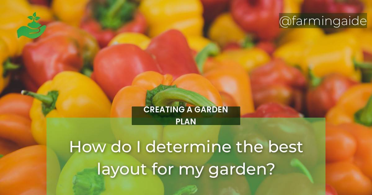 How do I determine the best layout for my garden?