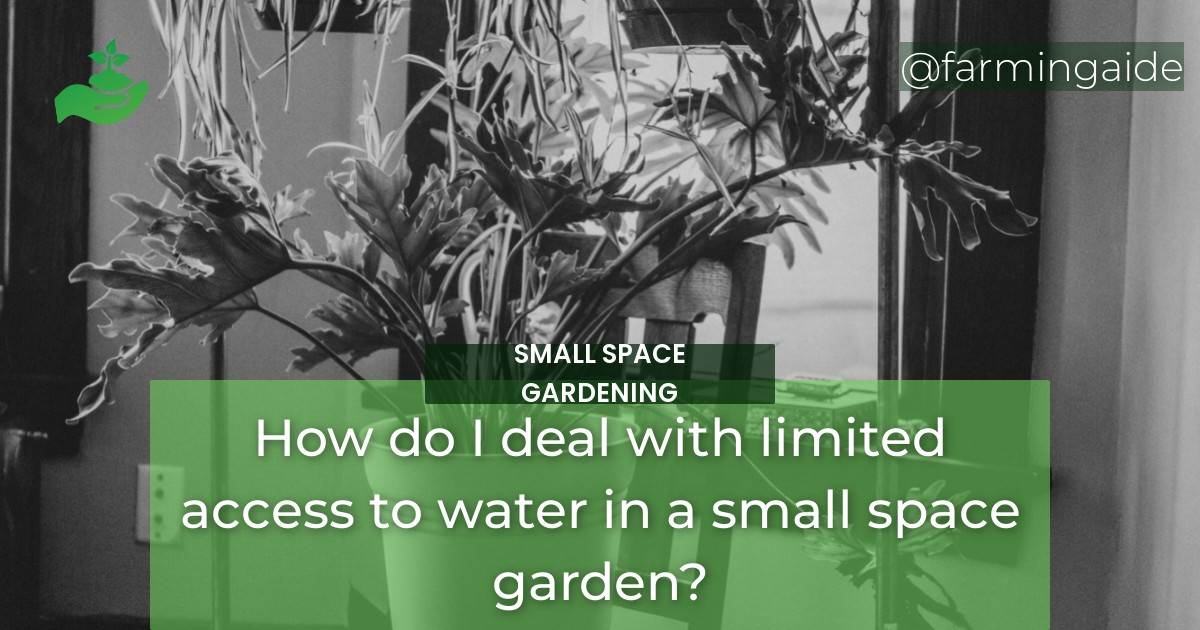 How do I deal with limited access to water in a small space garden?