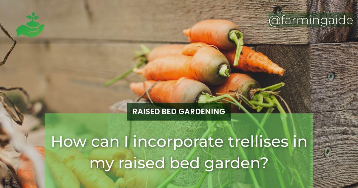 How can I incorporate trellises in my raised bed garden?