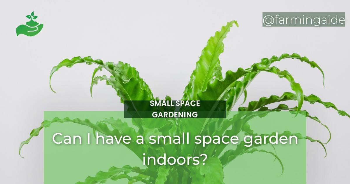 Can I have a small space garden indoors?