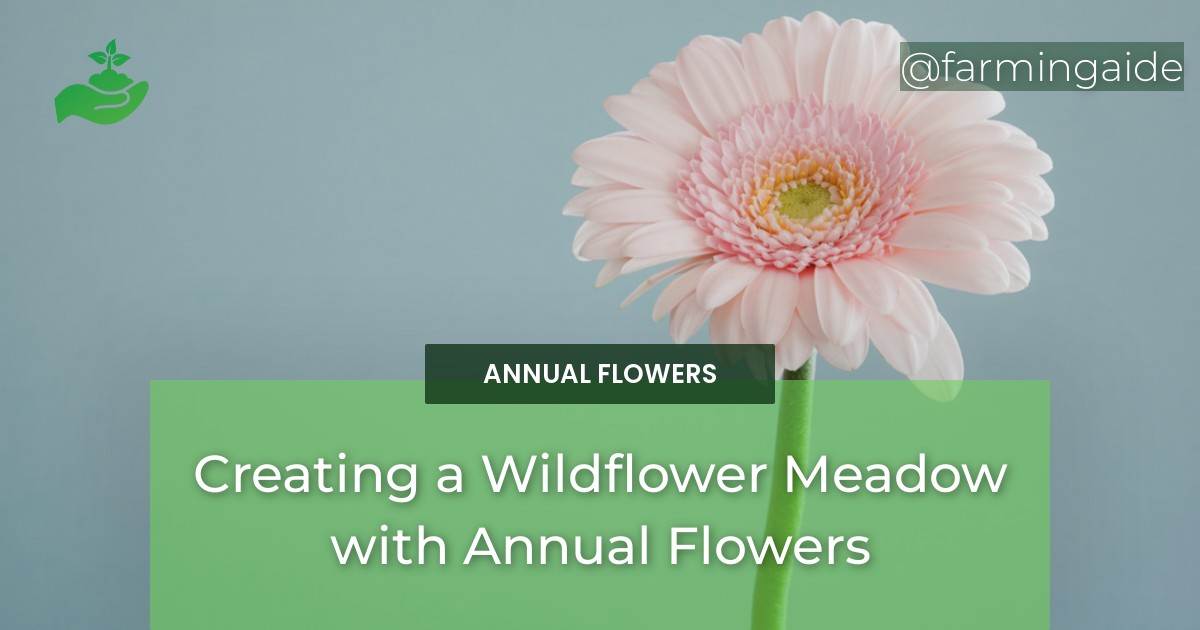 Creating a Wildflower Meadow with Annual Flowers