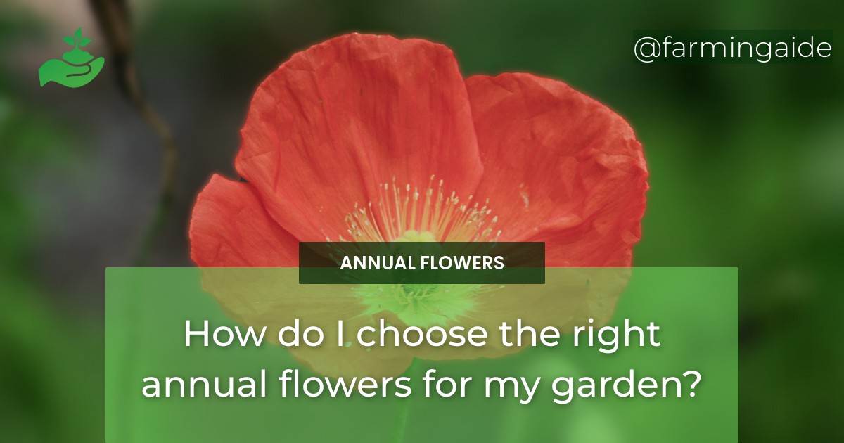 How do I choose the right annual flowers for my garden?