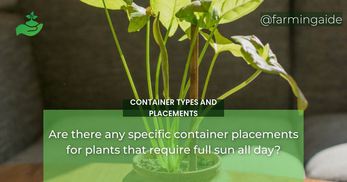 Are there any specific container placements for plants that require full sun all day?