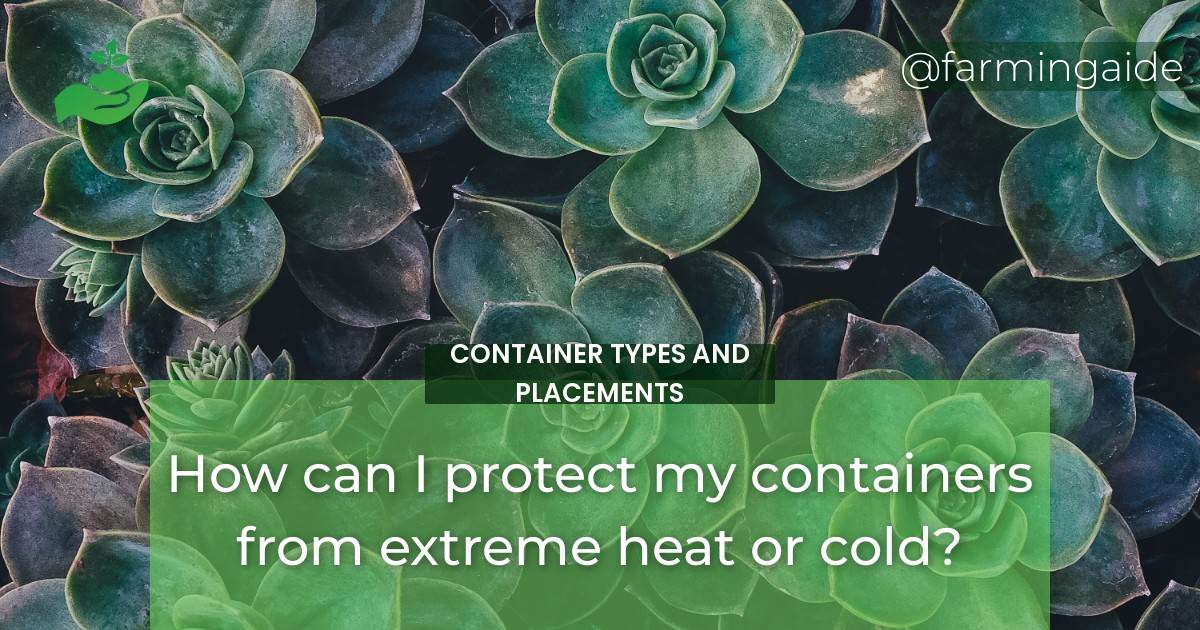 How can I protect my containers from extreme heat or cold?