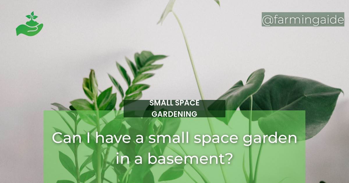 Can I have a small space garden in a basement?