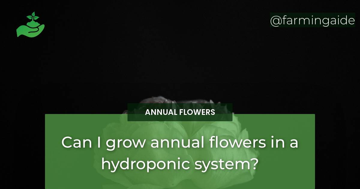 Can I grow annual flowers in a hydroponic system?