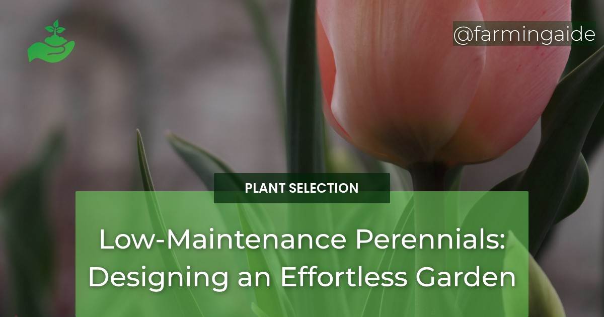 Low-Maintenance Perennials: Designing an Effortless Garden