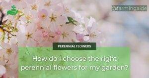 How do I choose the right perennial flowers for my garden?