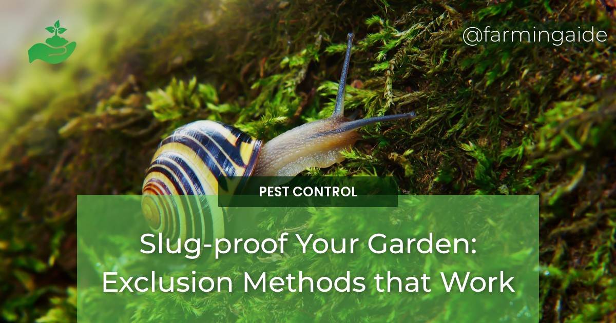 Slug-proof Your Garden: Exclusion Methods that Work