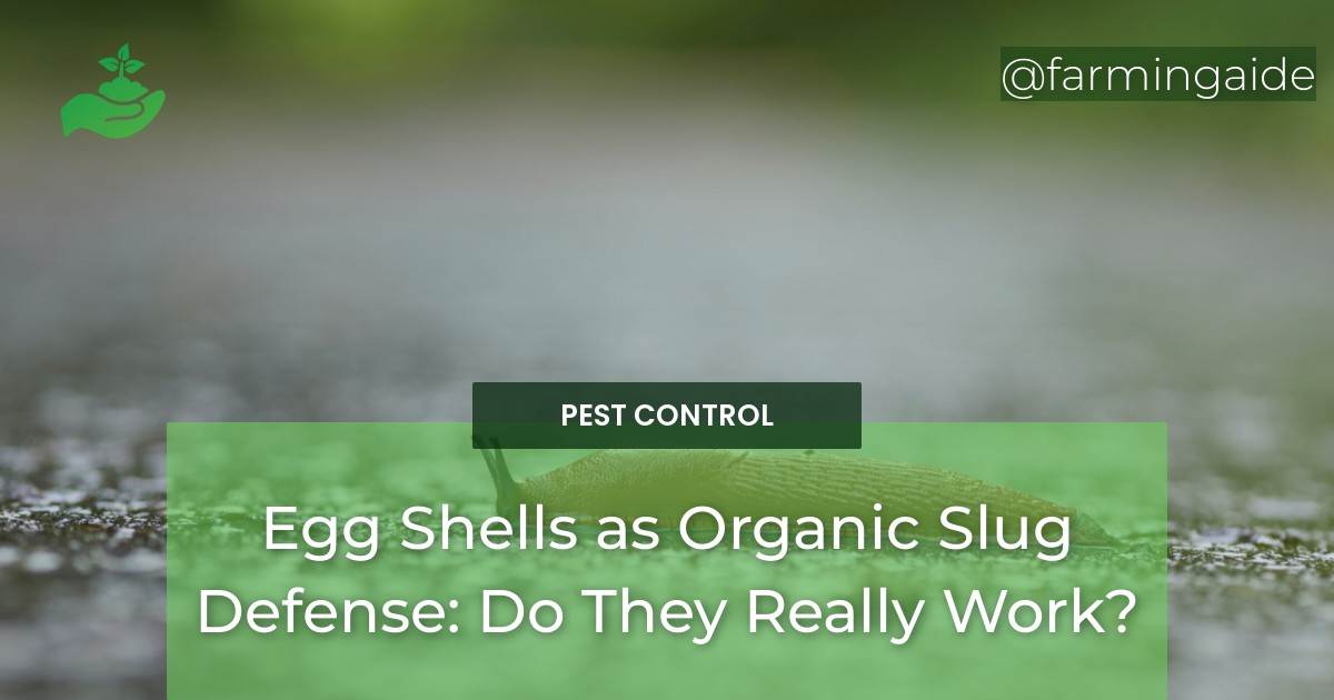 Egg Shells as Organic Slug Defense: Do They Really Work?