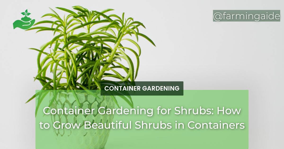 Container Gardening for Shrubs: How to Grow Beautiful Shrubs in Containers