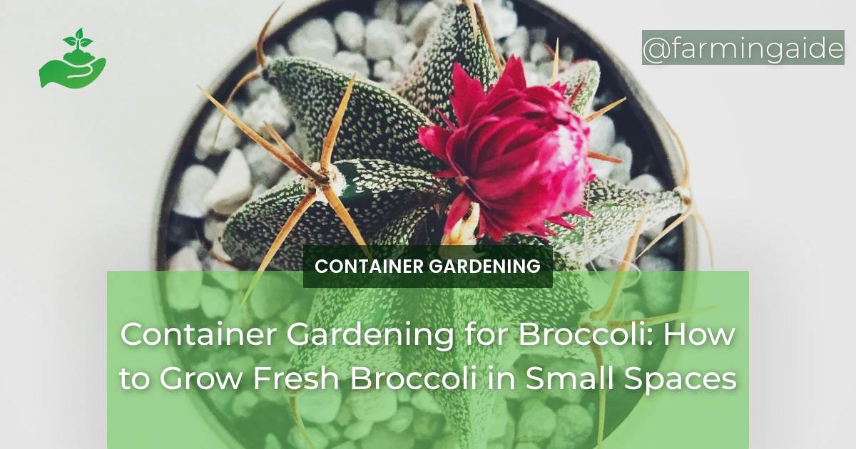 Container Gardening for Broccoli: How to Grow Fresh Broccoli in Small Spaces