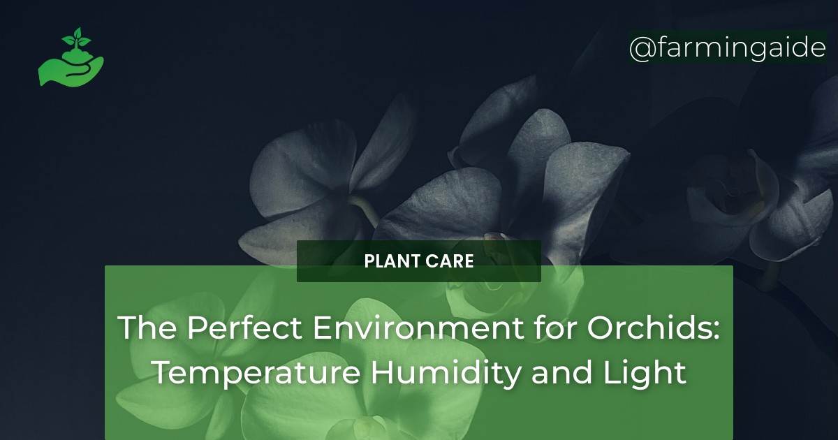 The Perfect Environment for Orchids: Temperature Humidity and Light