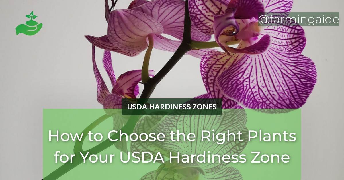 How to Choose the Right Plants for Your USDA Hardiness Zone