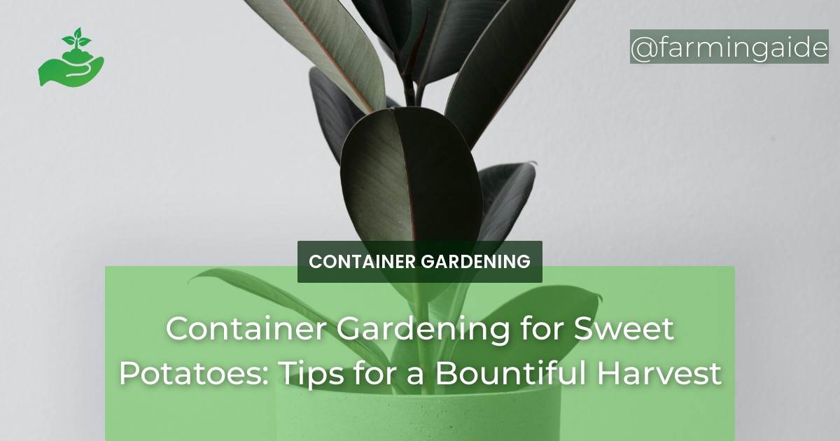 Container Gardening for Sweet Potatoes: Tips for a Bountiful Harvest