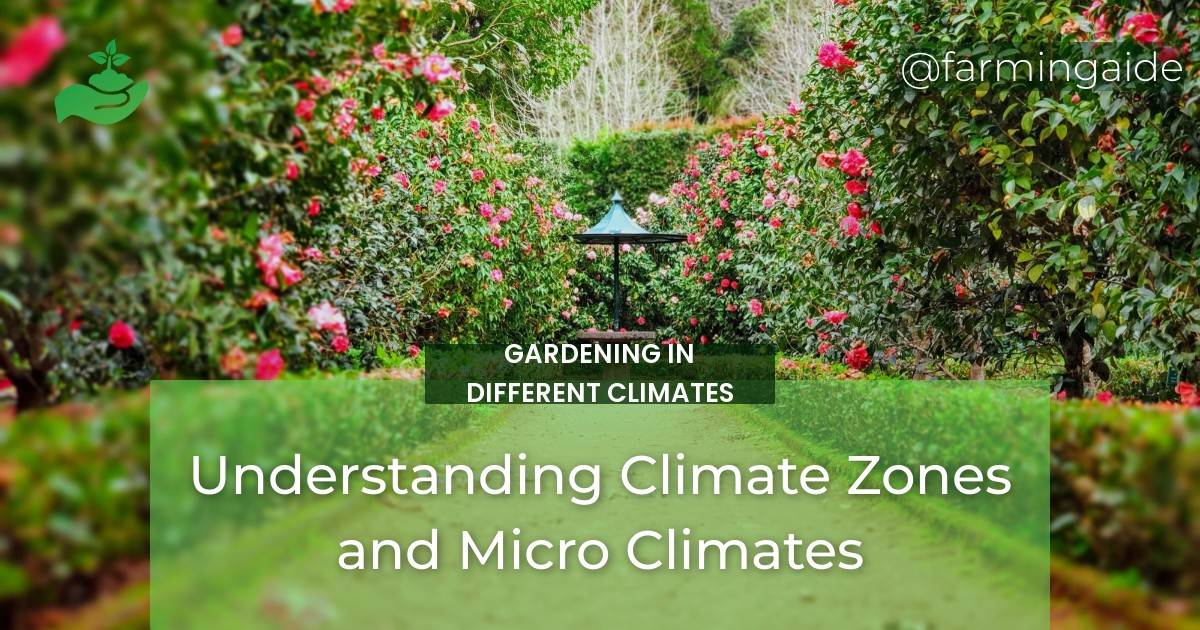 Understanding Climate Zones and Micro Climates