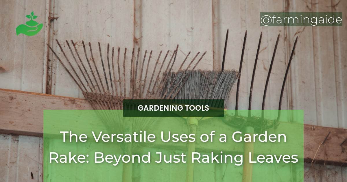 Uses of a Garden Rake Beyond Just Raking Leaves