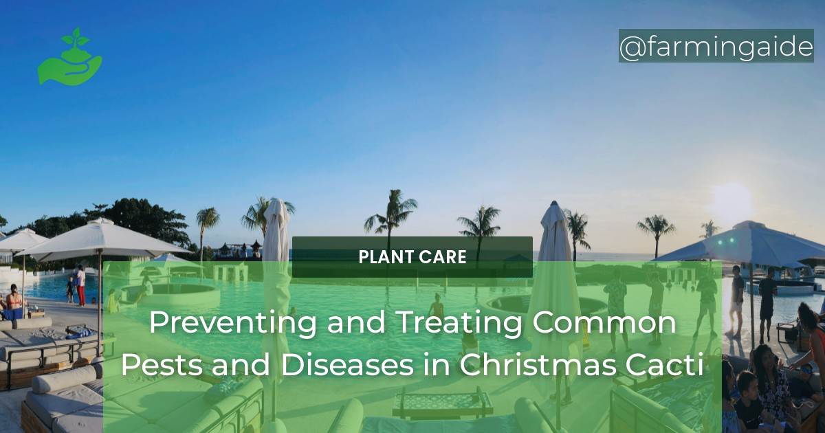 Preventing and Treating Common Pests and Diseases in Christmas Cacti