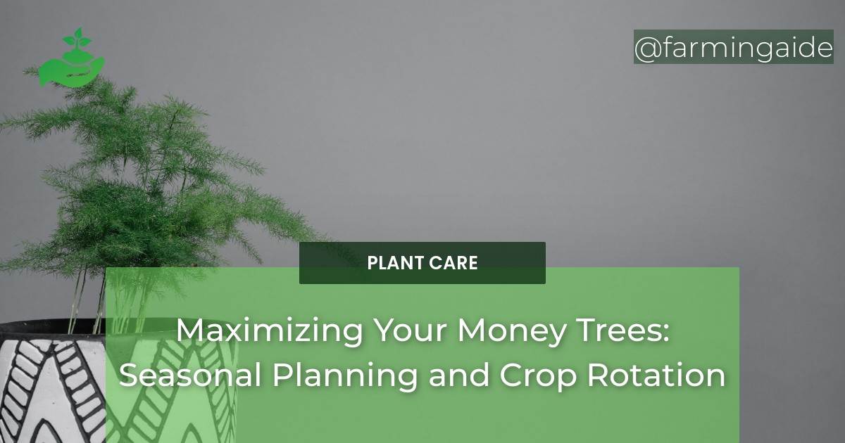 Maximizing Your Money Trees: Seasonal Planning and Crop Rotation