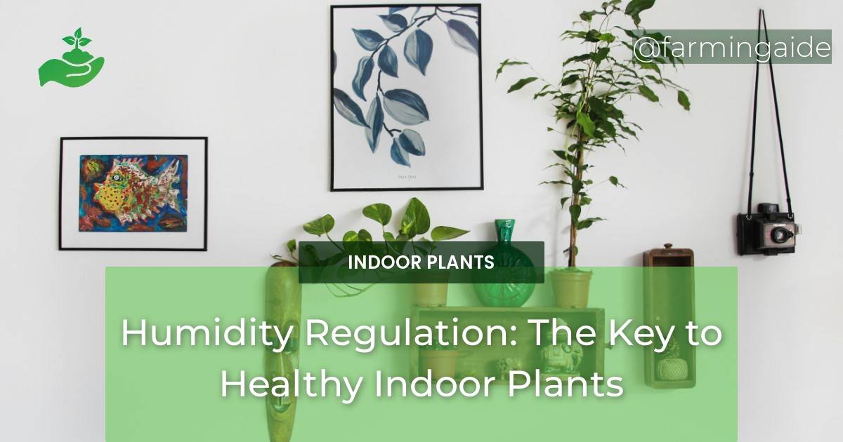 Humidity Regulation: The Key to Healthy Indoor Plants