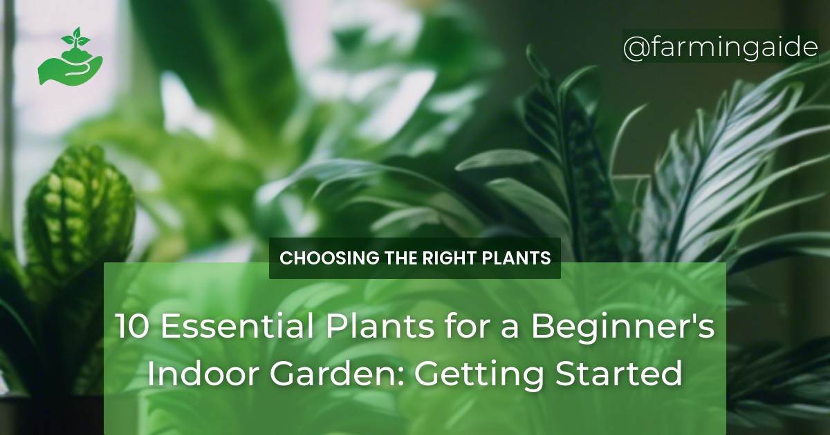 10 Essential Plants for a Beginner's Indoor Garden: Getting Started