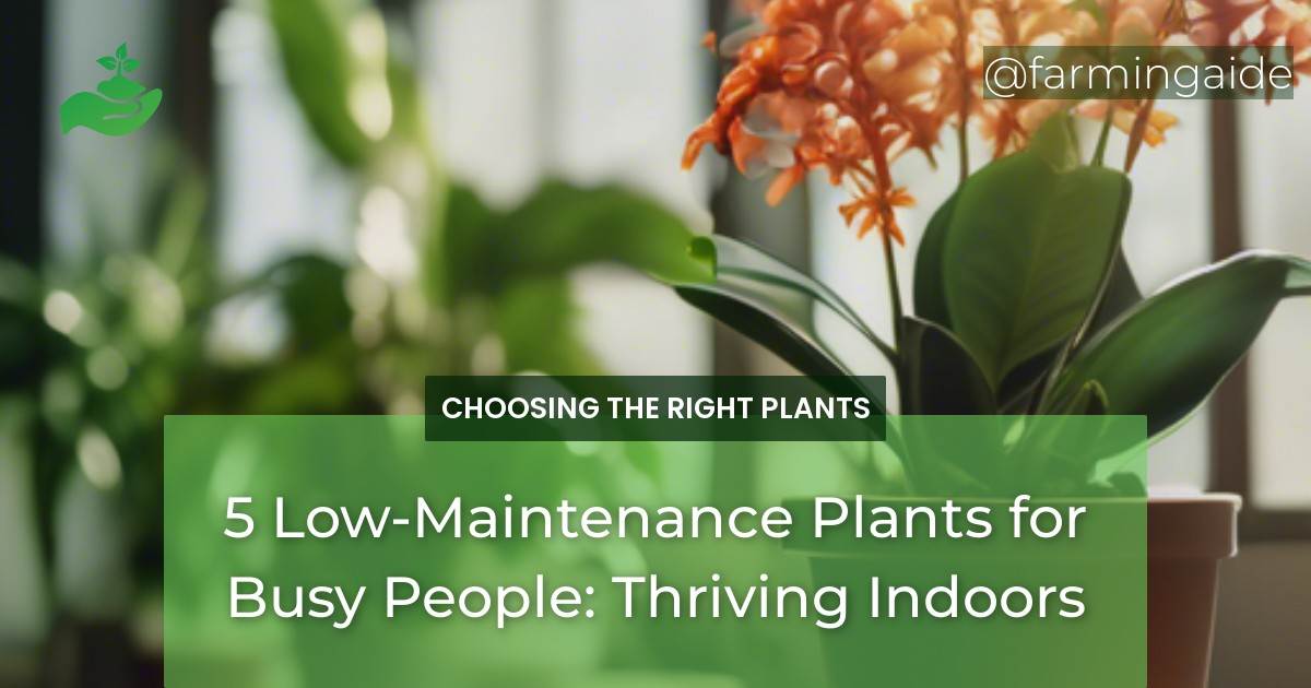 5 Low-Maintenance Plants for Busy People: Thriving Indoors