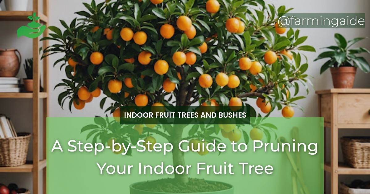 A Step-by-Step Guide to Pruning Your Indoor Fruit Tree