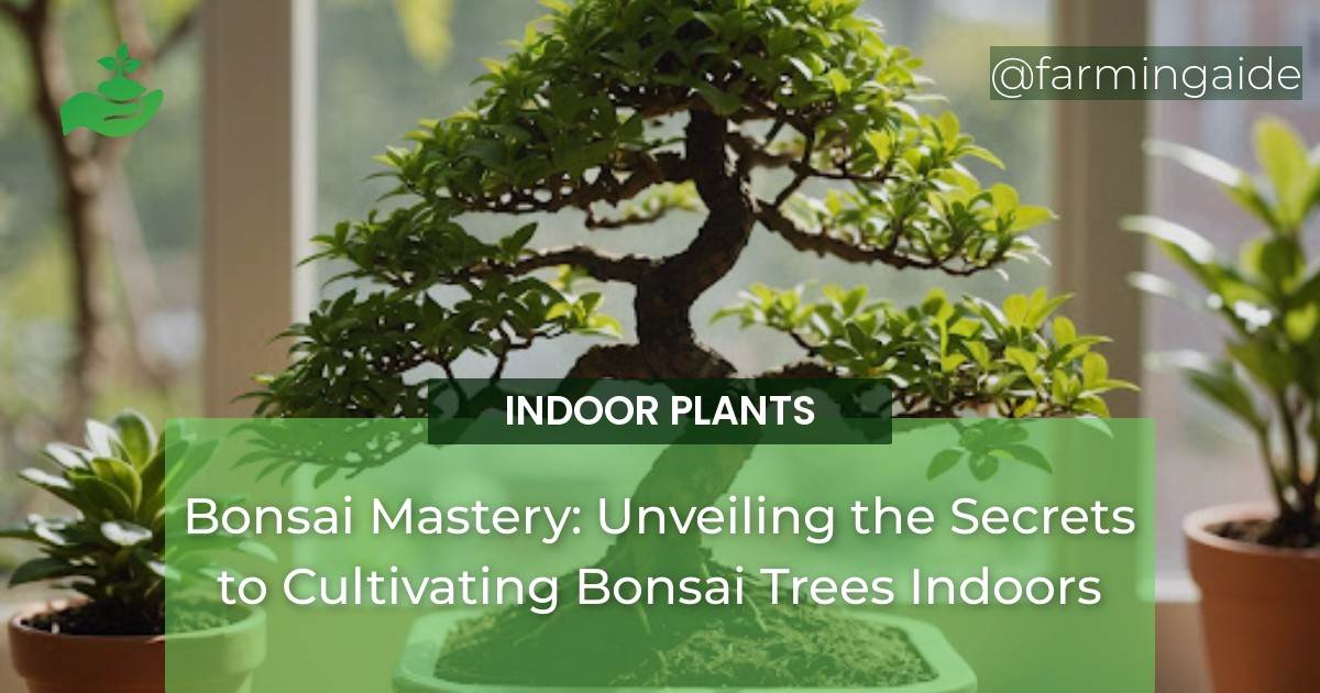 Bonsai Mastery: Unveiling the Secrets to Cultivating Bonsai Trees Indoors