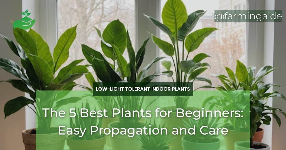 The 5 Best Plants for Beginners: Easy Propagation and Care