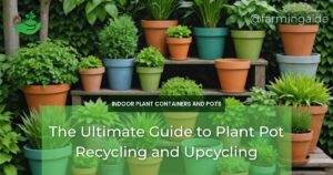 The Ultimate Guide to Plant Pot Recycling and Upcycling