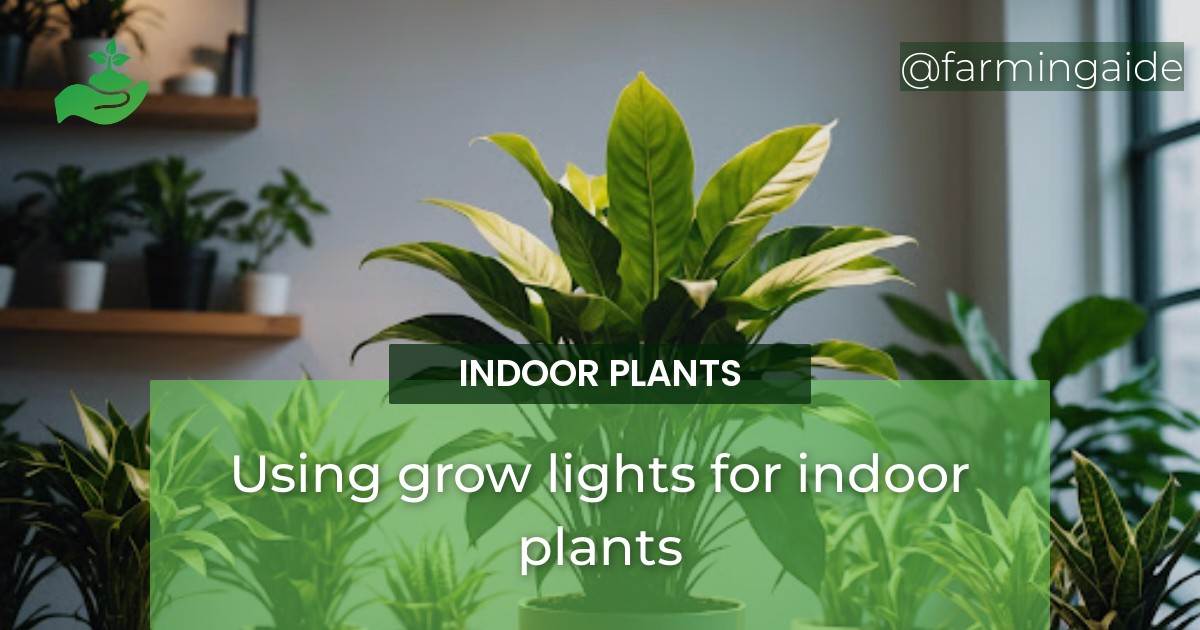 Using grow lights for indoor plants